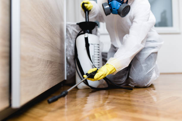 Best Commercial Pest Control Services  in Brea, CA