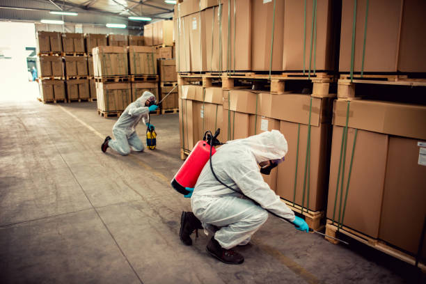 Best Residential Pest Control  in Brea, CA