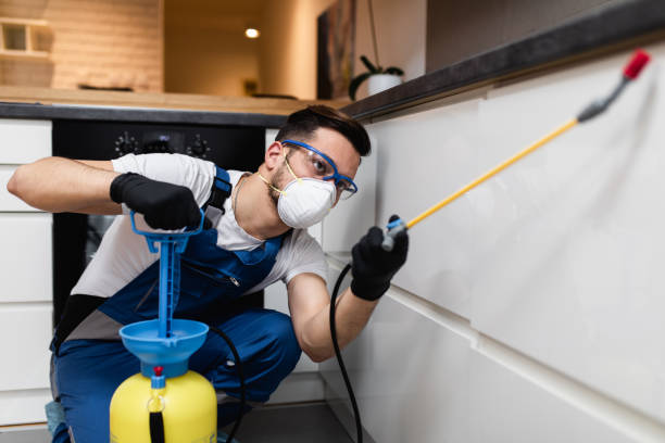 Best Affordable Pest Control Services  in Brea, CA