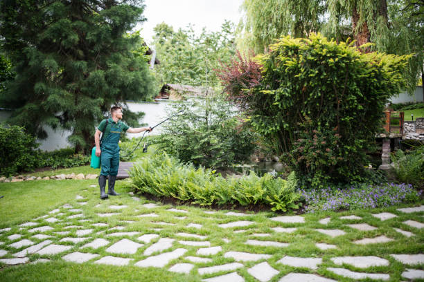 Best Pest Control Near Me in Brea, CA