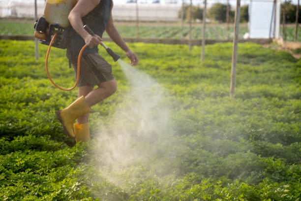 Pest Control for Restaurants in Brea, CA