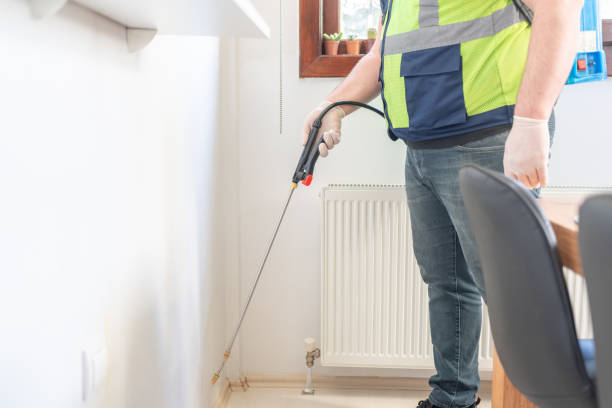 Best Insect Control  in Brea, CA