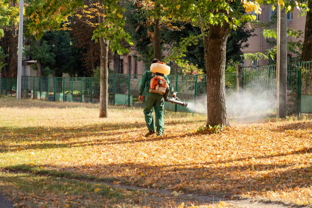 Brea, CA Pest Control Company