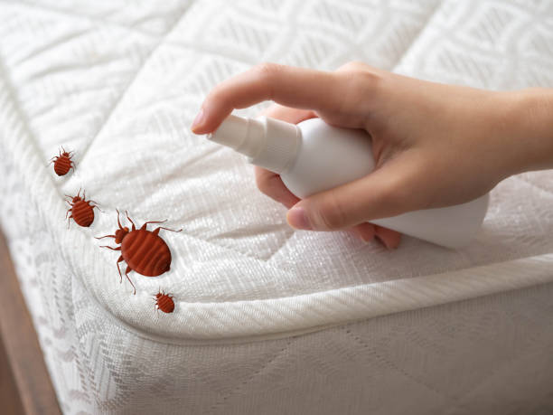 Best Best Pest Control Near Me  in Brea, CA