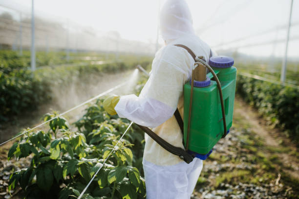 Best Best Pest Control Companies  in Brea, CA